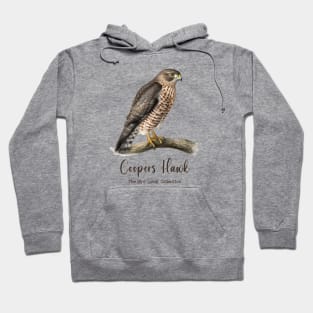 Coopers Hawk - The Bird Lover Collection Hoodie